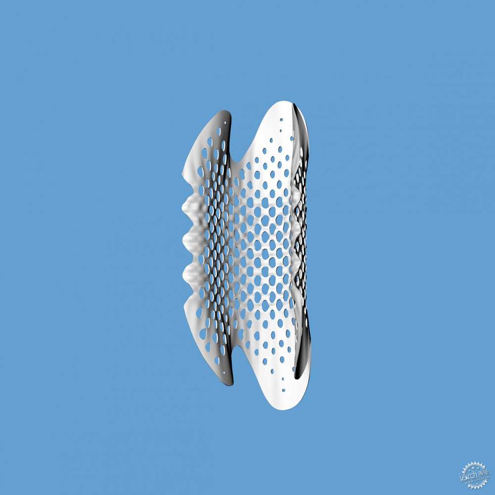 architectural shell lace structure to create prototype windpipe